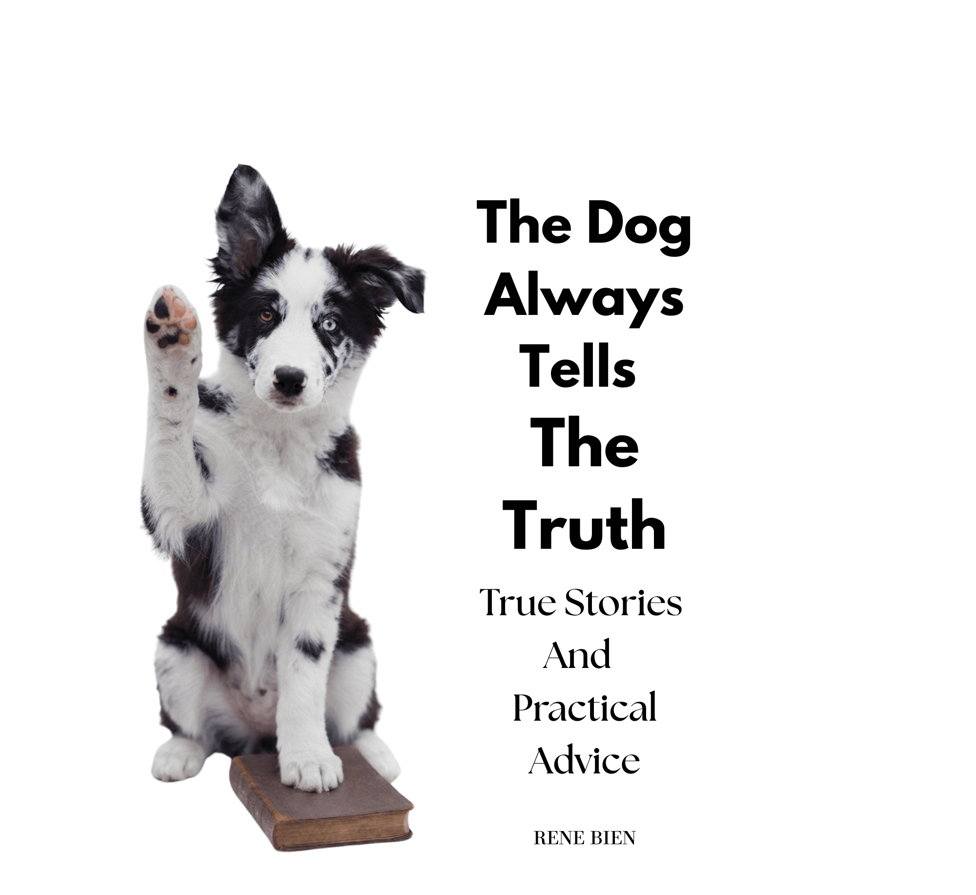 Border collie puppy with heterochromia raises a paw on a book. Text: The Dog Always Tells The Truth.